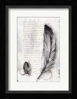 Vintage Feathers II Framed Print