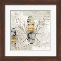 Queen Bee I Fine Art Print