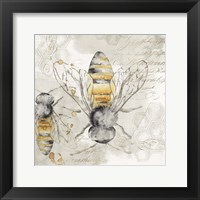 Queen Bee I Framed Print