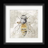 Queen Bee II Framed Print