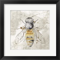 Queen Bee II Framed Print