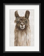 Suri Alpaca I Framed Print