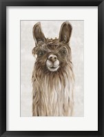 Suri Alpaca I Fine Art Print
