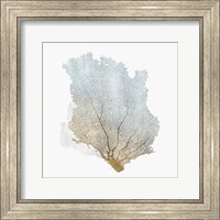 Delicate Coral I Fine Art Print