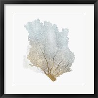 Delicate Coral I Fine Art Print