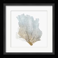 Delicate Coral I Fine Art Print