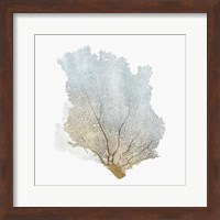 Delicate Coral I Fine Art Print