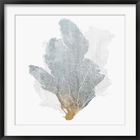 Delicate Coral II Fine Art Print