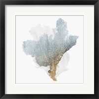 Delicate Coral III Fine Art Print