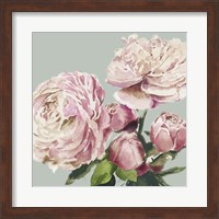 Pink Peony II Fine Art Print