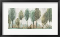 Tall Trees Fine Art Print