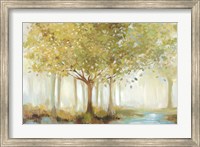 Forest River Fine Art Print