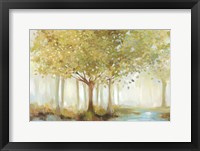 Forest River Fine Art Print