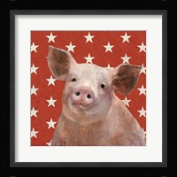 Patriotic Farm III Framed Print
