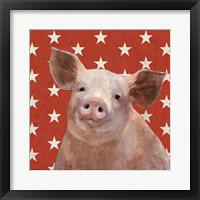 Patriotic Farm III Framed Print