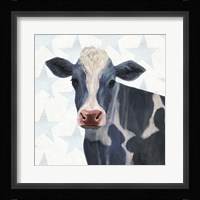 Patriotic Farm I Framed Print