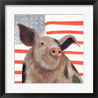 Patriotic Farm IV Framed Print