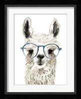 Hip Llama II Framed Print