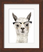 Hip Llama IV Fine Art Print