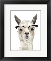 Hip Llama IV Fine Art Print