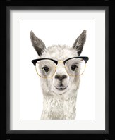 Hip Llama IV Framed Print