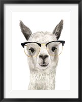 Hip Llama IV Framed Print