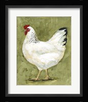 Chicken Scratch II Framed Print