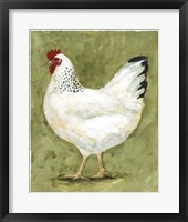 Chicken Scratch II Framed Print