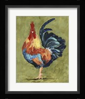Chicken Scratch IV Framed Print