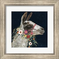 Lovely Llama I Fine Art Print