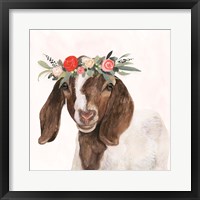 Garden Goat II Framed Print