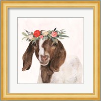 Garden Goat II Fine Art Print