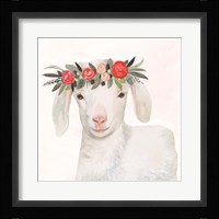 Garden Goat IV Framed Print