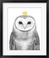 Royal Forrester II Framed Print