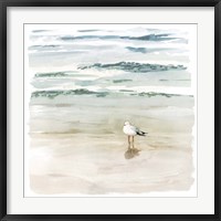 Seagull Cove II Fine Art Print
