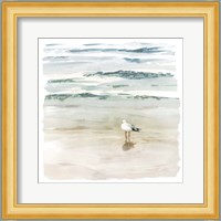 Seagull Cove II Fine Art Print