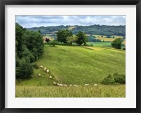 Pastoral Countryside V Fine Art Print