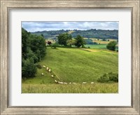 Pastoral Countryside V Fine Art Print