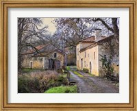Pastoral Countryside XII Fine Art Print