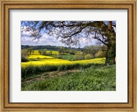 Pastoral Countryside XIV Fine Art Print