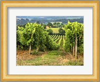 Pastoral Countryside XIX Fine Art Print