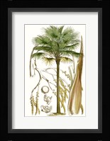 Curtis Palms I Framed Print