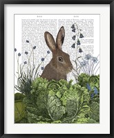 Cabbage Patch Rabbit 2 Fine Art Print