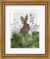 Cabbage Patch Rabbit 2 Fine Art Print