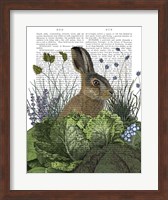Cabbage Patch Rabbit 3 Fine Art Print