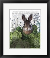 Cabbage Patch Rabbit 4 Fine Art Print
