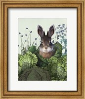 Cabbage Patch Rabbit 4 Fine Art Print
