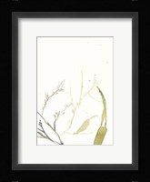 Under Sea Forest II Fine Art Print