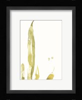 Under Sea Forest III Fine Art Print