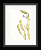 Under Sea Forest IV Fine Art Print